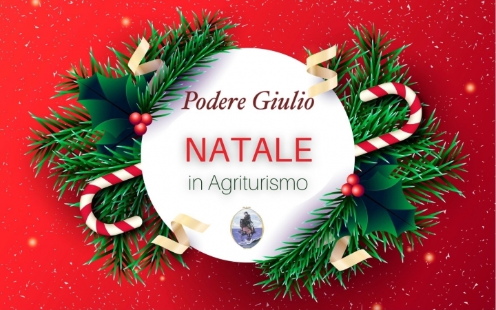 OFFERTA DI NATALE 